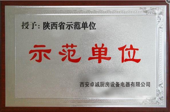 陕西省示范单位-西安商用电磁炉